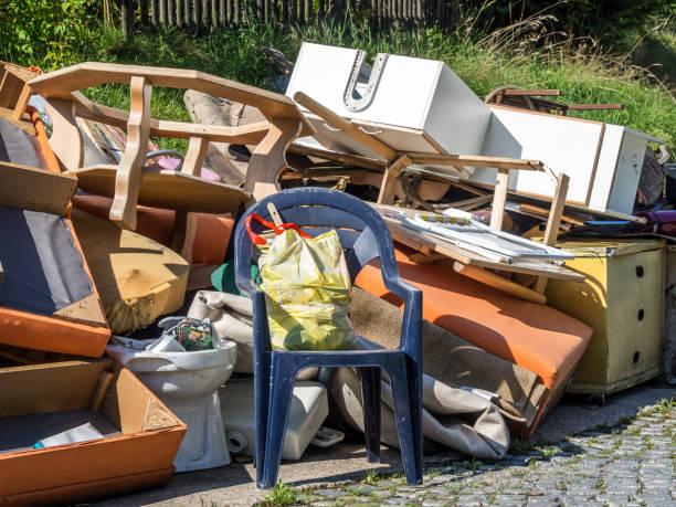 Best Junk Hauling Services  in Hollister, MO