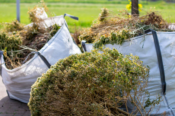 Yard Cleanup Services in Hollister, MO