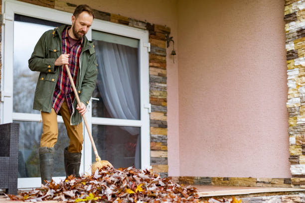 Best Dumpster Rental Services  in Hollister, MO